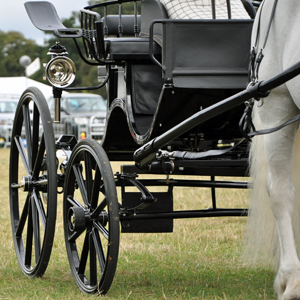 Carriage Close up